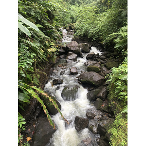 รูปถ่าย กวาเดอลูป(Guadeloupe) น้ำตกการ์เบ(Carbet Falls) 2021-02 2