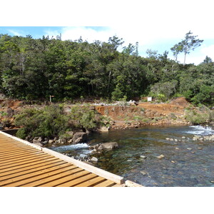 รูปถ่าย นิวแคลิโดเนีย(New Caledonia) อุทยานริเวียร์เบลอ(Parc de la Riviere Bleue) 2010-05 158