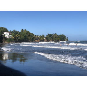 รูปถ่าย กวาเดอลูป(Guadeloupe) บานาเนีย(Bananier) 2021-02 16