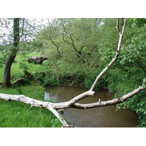 รูปถ่าย อังกฤษ(United Kingdom) เปมโบรคเชอร์(Pembrokeshire) แลมปลี(Lamphey) 2006-05 12