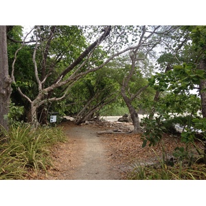 รูปถ่าย คอสตาริกา(Costa Rica) มอนเตซูมา(Montezuma) 2015-03 427