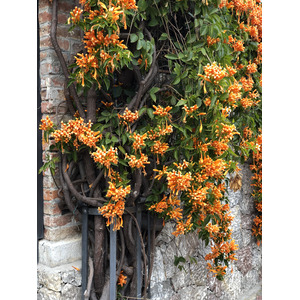 รูปถ่าย อิตาลี(Italy) ซิซิลี(Sicily) ตาออร์มีนา(Taormina) 2020-02 141