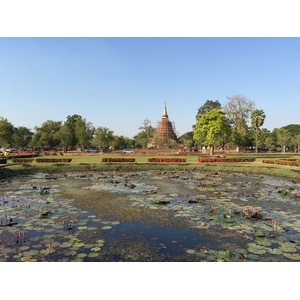 รูปถ่าย ไทย(Thailand) สุโขทัย(Sukhothai) 2014-12 62