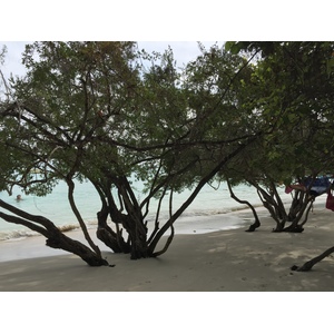 รูปถ่าย ไทย(Thailand) เกาะเสม็ด(Ko Samet) 2014-12 58