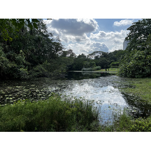 รูปถ่าย สิงคโปร์(Singapore) สวนพฤกษศาสตร์สิงคโปร์(Singapore Botanic Gardens) 2023-01 4
