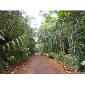 รูปถ่าย นิวแคลิโดเนีย(New Caledonia) อุทยานริเวียร์เบลอ(Parc de la Riviere Bleue) 2010-05 98