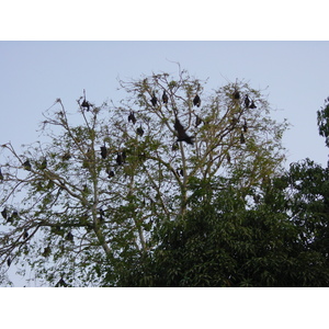 รูปถ่าย อินเดีย(India) อูไดปูร์(Udaipur) 2003-05 20