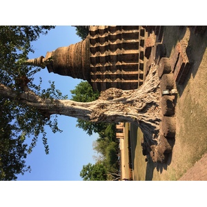 รูปถ่าย ไทย(Thailand) สุโขทัย(Sukhothai) 2014-12 37