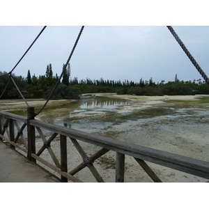 รูปถ่าย นิวแคลิโดเนีย(New Caledonia) เกาะต้นสน(Ile des pins) อ่าวโอโร(Oro Bay) 2010-05 84