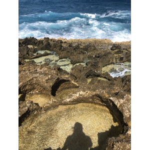 รูปถ่าย กวาเดอลูป(Guadeloupe) แหลมคาสเซิลพอยต์(Castle Point) 2021-02 180