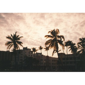 รูปถ่าย สหรัฐอเมริกา(United States) ไมแอมีบีช(Miami Beach) 1991-11 8