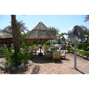 รูปถ่าย อียิปต์(Egypt) ชาร์มเอลชีค(Sharm el Sheikh) 2008-06 105