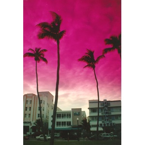 รูปถ่าย สหรัฐอเมริกา(United States) ไมแอมีบีช(Miami Beach) 1991-11 16