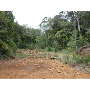 รูปถ่าย นิวแคลิโดเนีย(New Caledonia) อุทยานริเวียร์เบลอ(Parc de la Riviere Bleue) 2010-05 81