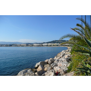 รูปถ่าย ฝรั่งเศส(France) คานส์(Cannes) ท่าเรือปีแยร์ก็องโต(Port Pierre Canto) 2008-05 74