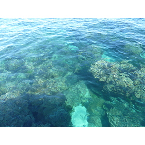 รูปถ่าย ฟิจิ(Fiji) เกาะแคสต์อะเวย์(Castaway Island) 2010-05 63