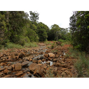 รูปถ่าย นิวแคลิโดเนีย(New Caledonia) อุทยานริเวียร์เบลอ(Parc de la Riviere Bleue) 2010-05 126