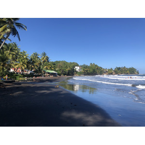 รูปถ่าย กวาเดอลูป(Guadeloupe) บานาเนีย(Bananier) 2021-02 12