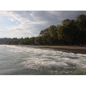 รูปถ่าย คอสตาริกา(Costa Rica) มานวยล์อันโตนีโอ(Manuel Antonio) 2015-03 131