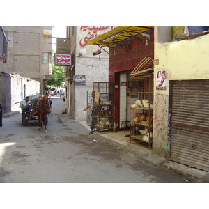 รูปถ่าย อียิปต์(Egypt) ไคโร(Cairo) 2004-09 24