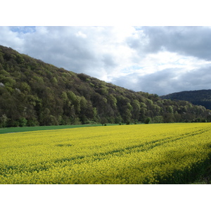 รูปถ่าย อังกฤษ(United Kingdom) หุบเขาไวย์(Wye Valley) 2006-05 29