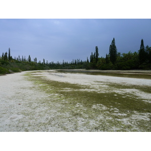 รูปถ่าย นิวแคลิโดเนีย(New Caledonia) เกาะต้นสน(Ile des pins) อ่าวโอโร(Oro Bay) 2010-05 40