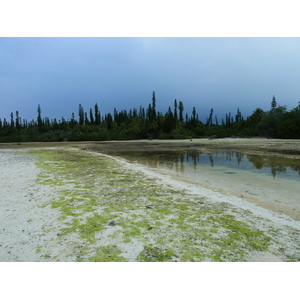 รูปถ่าย นิวแคลิโดเนีย(New Caledonia) เกาะต้นสน(Ile des pins) อ่าวโอโร(Oro Bay) 2010-05 31