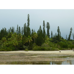 รูปถ่าย นิวแคลิโดเนีย(New Caledonia) เกาะต้นสน(Ile des pins) อ่าวโอโร(Oro Bay) 2010-05 3