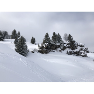 รูปถ่าย ฝรั่งเศส(France) ปรา-ซูร์-อาร์ลี(Praz sur Arly) 2019-12 292