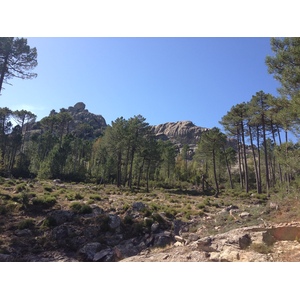 รูปถ่าย ฝรั่งเศส(France) คอร์สิคา(Corsica) ป่าลอสเปดาเล(L'ospedale Forest) 2012-09 38