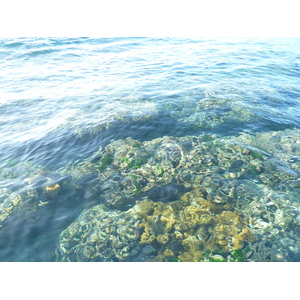 รูปถ่าย ฟิจิ(Fiji) เกาะแคสต์อะเวย์(Castaway Island) 2010-05 170
