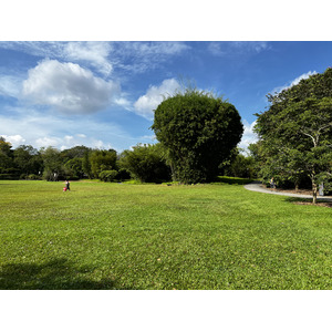 รูปถ่าย สิงคโปร์(Singapore) สวนพฤกษศาสตร์สิงคโปร์(Singapore Botanic Gardens) 2023-01 106