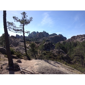 รูปถ่าย ฝรั่งเศส(France) คอร์สิคา(Corsica) ป่าลอสเปดาเล(L'ospedale Forest) 2012-09 16
