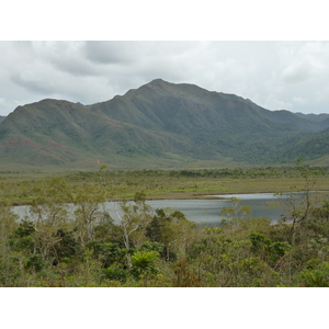 รูปถ่าย นิวแคลิโดเนีย(New Caledonia) อุทยานริเวียร์เบลอ(Parc de la Riviere Bleue) 2010-05 37