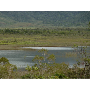 รูปถ่าย นิวแคลิโดเนีย(New Caledonia) อุทยานริเวียร์เบลอ(Parc de la Riviere Bleue) 2010-05 22