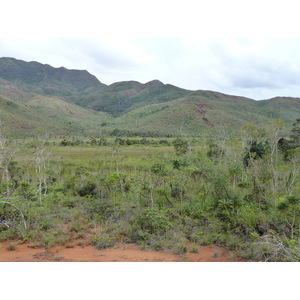 รูปถ่าย นิวแคลิโดเนีย(New Caledonia) อุทยานริเวียร์เบลอ(Parc de la Riviere Bleue) 2010-05 50