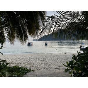 รูปถ่าย ไทย(Thailand) เกาะพีพีดอน(Ko Phi Phi Don) 2021-12 55