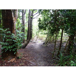 รูปถ่าย นิวแคลิโดเนีย(New Caledonia) เกาะต้นสน(Ile des pins) อ่าวโอโร(Oro Bay) 2010-05 16