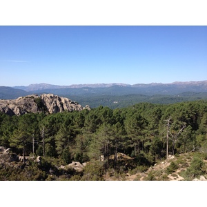 รูปถ่าย ฝรั่งเศส(France) คอร์สิคา(Corsica) ป่าลอสเปดาเล(L'ospedale Forest) 2012-09 54