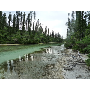 รูปถ่าย นิวแคลิโดเนีย(New Caledonia) เกาะต้นสน(Ile des pins) อ่าวโอโร(Oro Bay) 2010-05 41