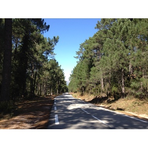 รูปถ่าย ฝรั่งเศส(France) คอร์สิคา(Corsica) ป่าลอสเปดาเล(L'ospedale Forest) 2012-09 45