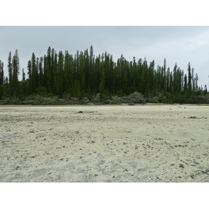 รูปถ่าย นิวแคลิโดเนีย(New Caledonia) เกาะต้นสน(Ile des pins) อ่าวโอโร(Oro Bay) 2010-05 70