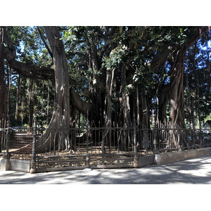 รูปถ่าย อิตาลี(Italy) ซิซิลี(Sicily) ปาแลร์โม(Palermo) 2020-02 27