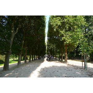 รูปถ่าย ฝรั่งเศส(France) ปารีส(Paris) สวนพันธ์ุพืช(Jardin des Plantes) 2007-08 26