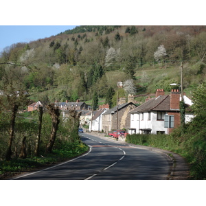 รูปถ่าย อังกฤษ(United Kingdom) หุบเขาไวย์(Wye Valley) 2006-05 23