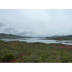 รูปถ่าย นิวแคลิโดเนีย(New Caledonia) อุทยานริเวียร์เบลอ(Parc de la Riviere Bleue) 2010-05 123