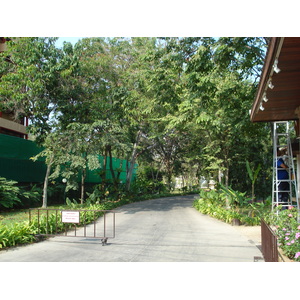 รูปถ่าย ไทย(Thailand) พัทยา(Pattaya) ถนนพัทยาสาย 2(Pattaya 2nd road) 2008-01 99