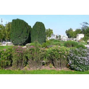 รูปถ่าย ฝรั่งเศส(France) ปารีส(Paris) สวนพันธ์ุพืช(Jardin des Plantes) 2007-08 222
