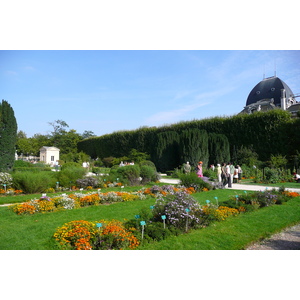 รูปถ่าย ฝรั่งเศส(France) ปารีส(Paris) สวนพันธ์ุพืช(Jardin des Plantes) 2007-08 183
