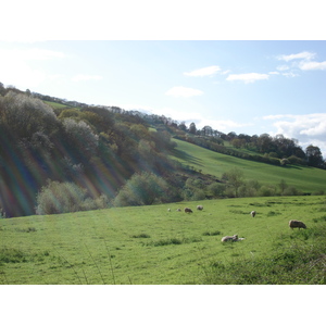 รูปถ่าย อังกฤษ(United Kingdom) หุบเขาไวย์(Wye Valley) 2006-05 2